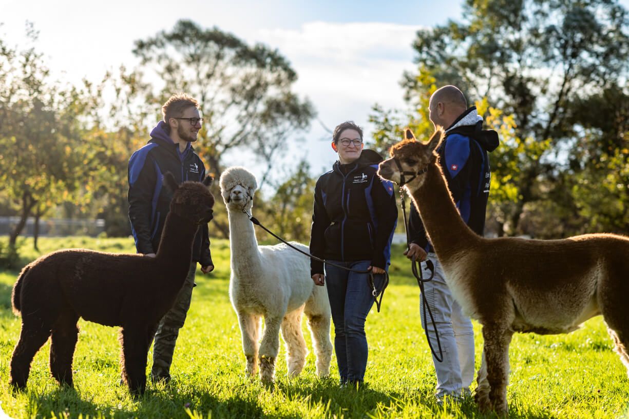 Führungen und Wanderungen